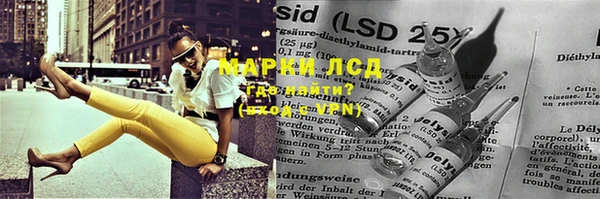 ПСИЛОЦИБИНОВЫЕ ГРИБЫ Вязьма