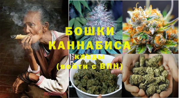 ПСИЛОЦИБИНОВЫЕ ГРИБЫ Вязьма
