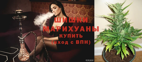 ПСИЛОЦИБИНОВЫЕ ГРИБЫ Вязьма