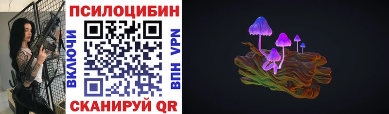 Псилоцибиновые грибы GOLDEN TEACHER  Купить где  Нерчинск 